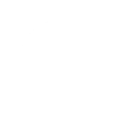 Steps Icon
